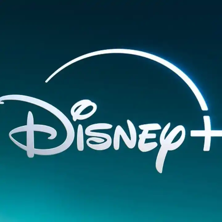 迪士尼Plus会员（共享）账号-1年会员